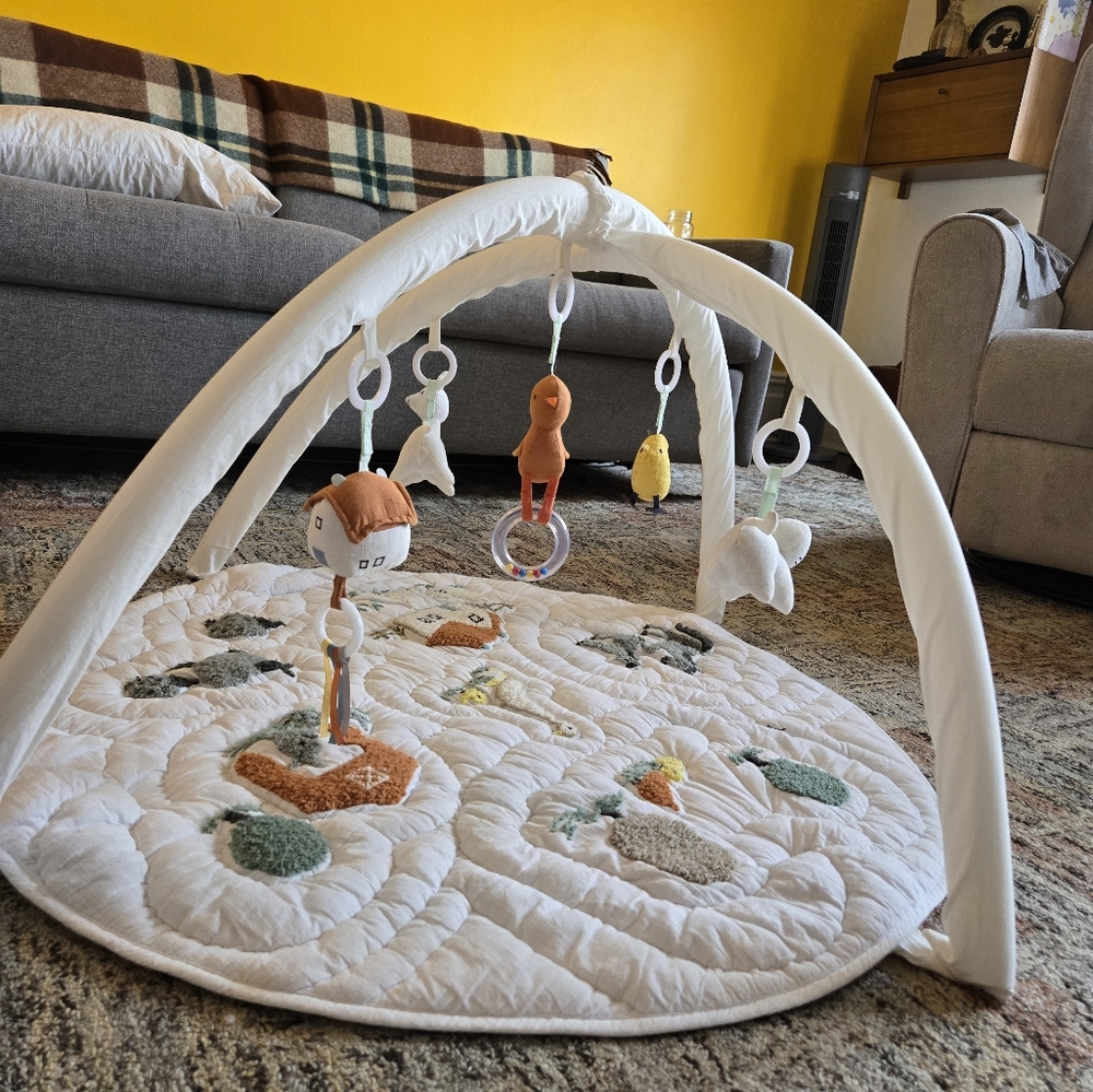 Baby Play Gym with Hanging Toys